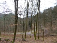 6  Saverne LE WASSERWALD 05 03 2017 10
